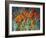 Close Up Garden I-Tim O'toole-Framed Giclee Print