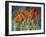 Close Up Garden I-Tim O'toole-Framed Giclee Print