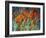 Close Up Garden I-Tim O'toole-Framed Giclee Print