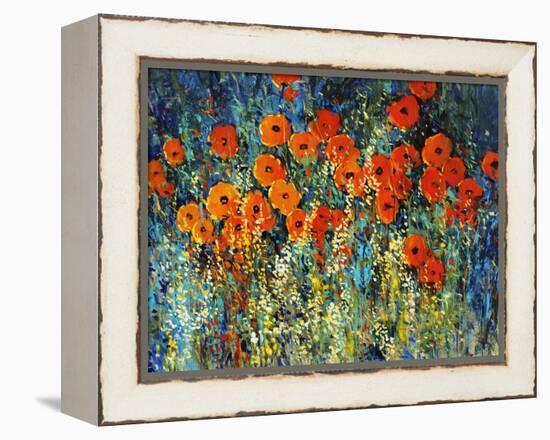 Close Up Garden I-Tim O'toole-Framed Premier Image Canvas