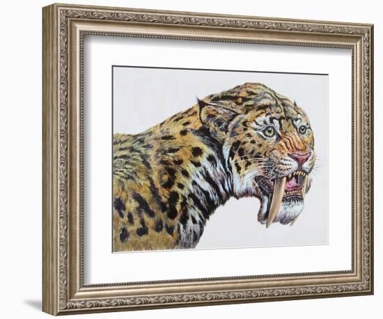 Close-Up Headshot of Megantereon, Pliocene Epoch-null-Framed Art Print