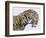 Close-Up Headshot of Megantereon, Pliocene Epoch-null-Framed Art Print