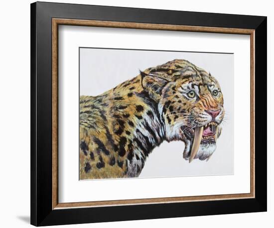 Close-Up Headshot of Megantereon, Pliocene Epoch-null-Framed Art Print