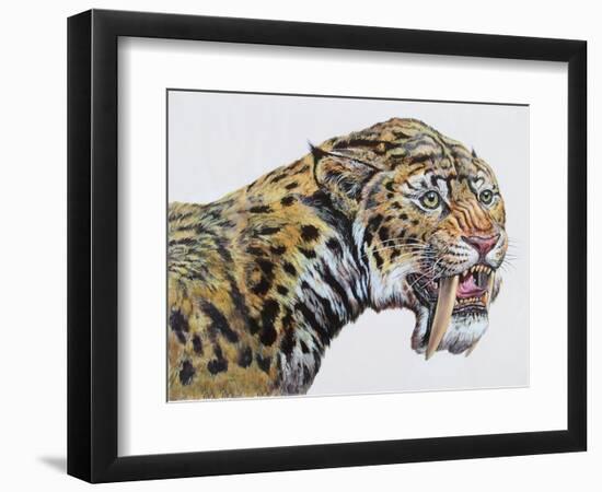 Close-Up Headshot of Megantereon, Pliocene Epoch-null-Framed Art Print