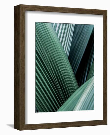 Close up I-SOIL-Framed Art Print