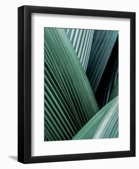 Close up I-SOIL-Framed Art Print