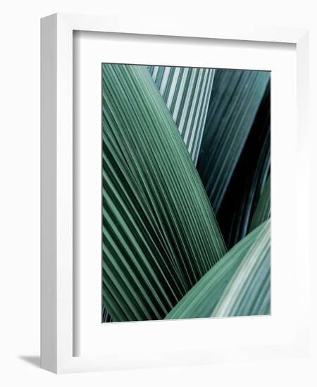 Close up I-SOIL-Framed Art Print