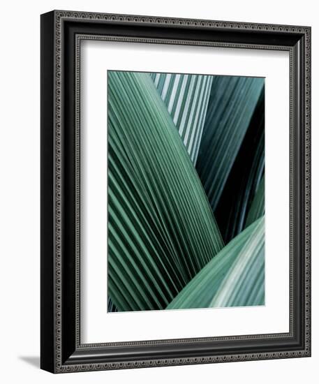 Close up I-SOIL-Framed Art Print