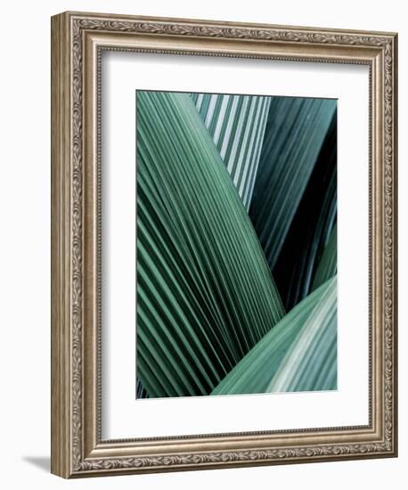 Close up I-SOIL-Framed Premium Giclee Print