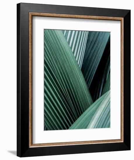 Close up I-SOIL-Framed Premium Giclee Print