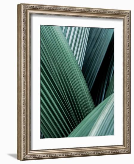 Close up I-SOIL-Framed Art Print