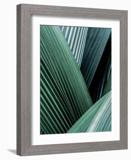 Close up I-SOIL-Framed Art Print