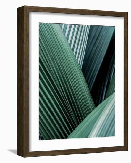 Close up I-SOIL-Framed Art Print