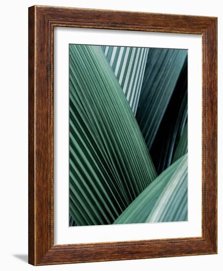 Close up I-SOIL-Framed Art Print