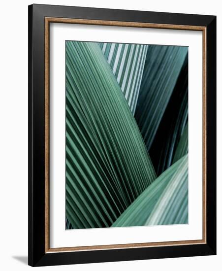 Close up I-SOIL-Framed Art Print