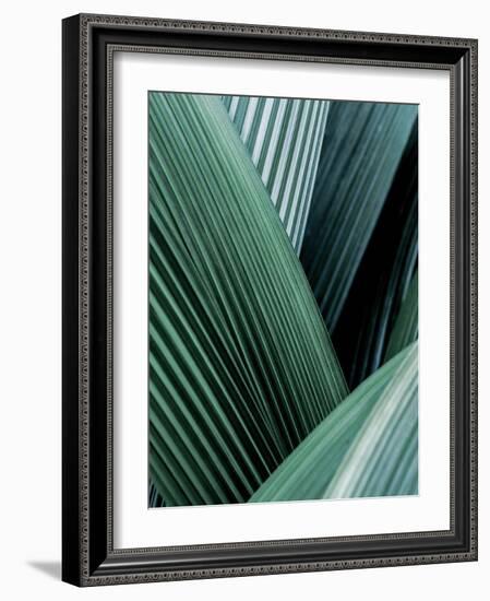 Close up I-SOIL-Framed Art Print