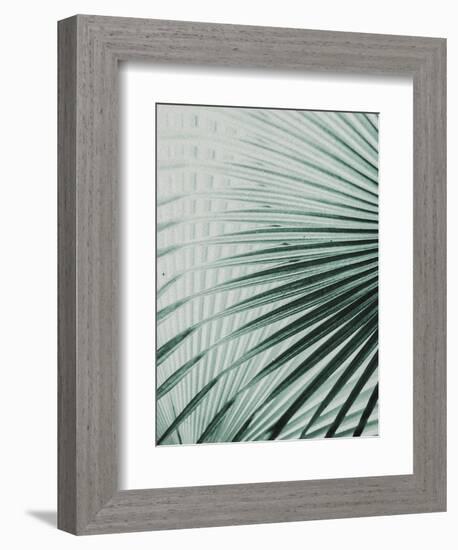 Close up II-SOIL-Framed Premium Giclee Print