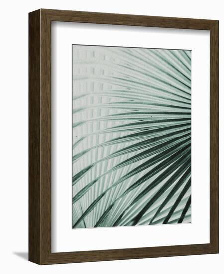 Close up II-SOIL-Framed Premium Giclee Print