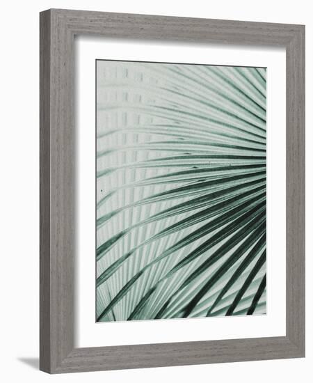 Close up II-SOIL-Framed Art Print