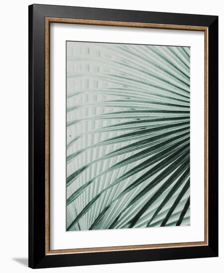 Close up II-SOIL-Framed Art Print