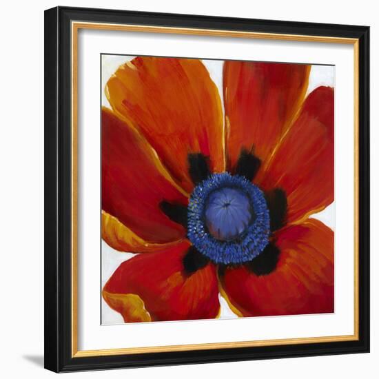 Close-Up II-Tim O'toole-Framed Art Print