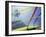 Close-up Image of a Windsurfing Sail-null-Framed Photographic Print