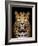 Close-Up Leopard Portrait on Dark Background-Volodymyr Burdiak-Framed Photographic Print