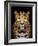 Close-Up Leopard Portrait on Dark Background-Volodymyr Burdiak-Framed Photographic Print