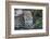 Close Up Leopard Portrait Sitting-Sheila Haddad-Framed Photographic Print