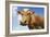 Close-Up Low Angle View of Brown Cow Against Blue Sky-null-Framed Photo