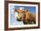 Close-Up Low Angle View of Brown Cow Against Blue Sky-null-Framed Photo