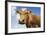 Close-Up Low Angle View of Brown Cow Against Blue Sky-null-Framed Photo