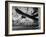 Close-up Monochromatic Image of a Skateboard-null-Framed Photographic Print