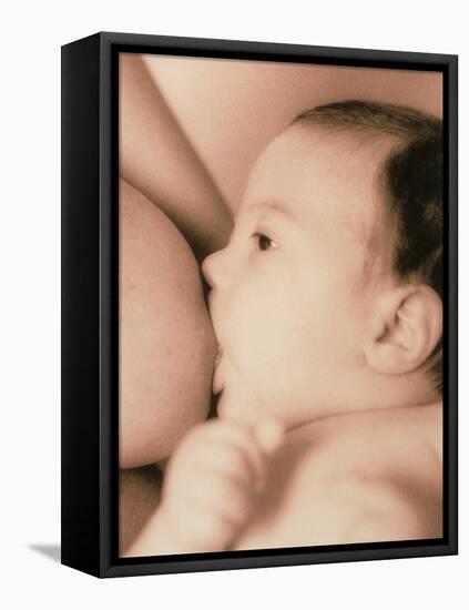 Close-up of a Baby Feeding At His Mother's Breast-Cristina-Framed Premier Image Canvas