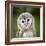 Close Up Of A Baby Tawny Owl (Strix Aluco)-l i g h t p o e t-Framed Photographic Print