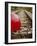 Close-up of a Balloon on a Railroad Track, Germany-null-Framed Photographic Print