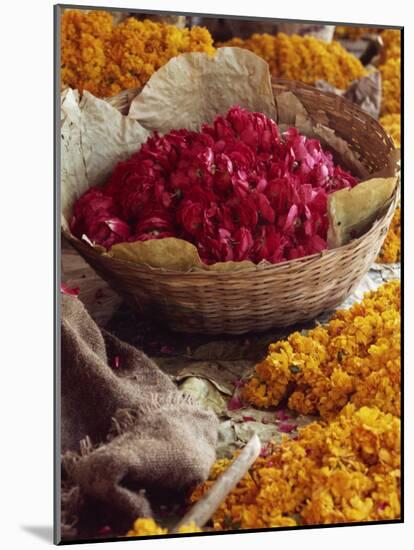 Close-Up of a Basket of Red Flowers, with Yellow Flowers, in the Market, Jaipur, Rajasthan, India-Michelle Garrett-Mounted Photographic Print