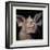 Close-Up of a Bat's Face-null-Framed Giclee Print