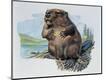 Giclee Print