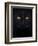 Close-Up Of A Black Cat Looking At The Camera, Isolated On White-Life on White-Framed Premium Giclee Print