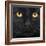 Close-Up Of A Black Cat-Life on White-Framed Art Print