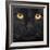 Close-Up Of A Black Cat-Life on White-Framed Art Print