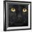 Close-Up Of A Black Cat-Life on White-Framed Art Print