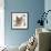 Close Up of a Blue American Burmese Cat-Rona Schwarz-Framed Photographic Print displayed on a wall