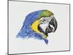 Giclee Print