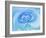 Close-Up of a Blue Rose-Adam Jones-Framed Photographic Print