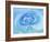 Close-Up of a Blue Rose-Adam Jones-Framed Photographic Print