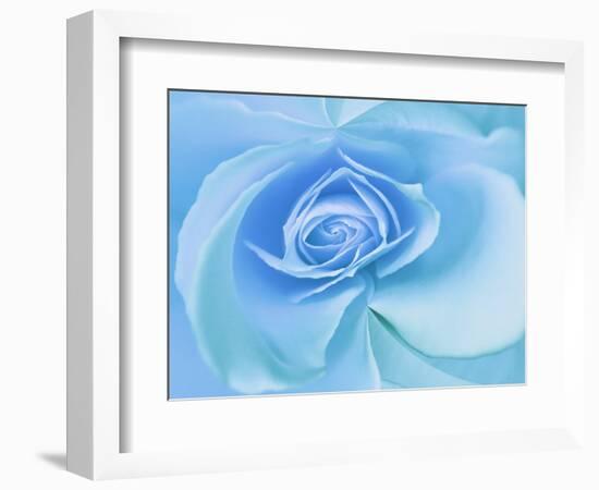 Close-Up of a Blue Rose-Adam Jones-Framed Photographic Print