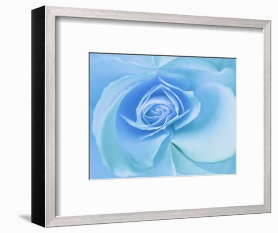 Close-Up of a Blue Rose-Adam Jones-Framed Photographic Print