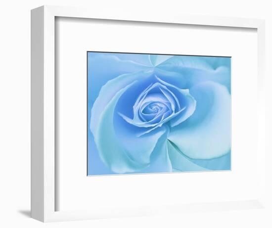 Close-Up of a Blue Rose-Adam Jones-Framed Photographic Print